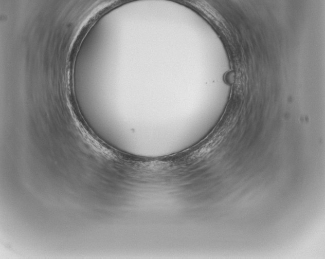 X0000060270992200511112042