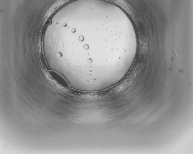 X0000060270994200511112042