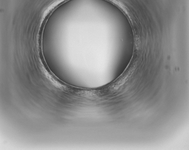 X0000060270995200511112042