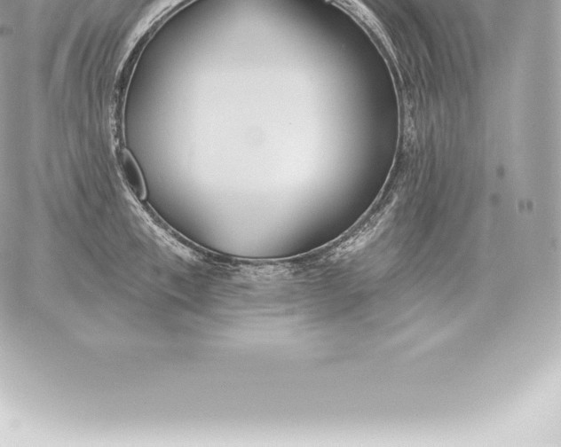 X0000060270997200511112042