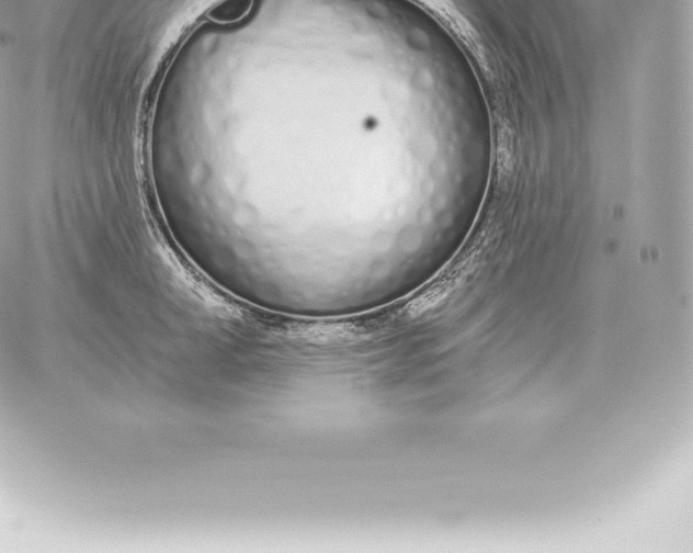 X0000060270998200511112042