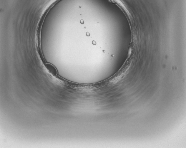 X0000060270999200511112042