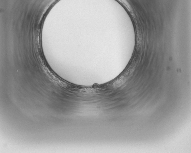 X0000060271000200511112042