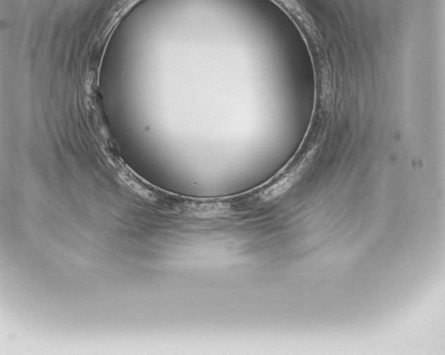 X0000060271001200511112042