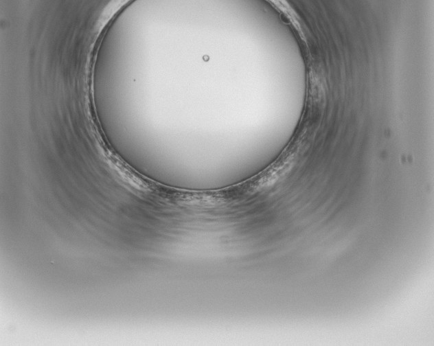 X0000060271002200511112042