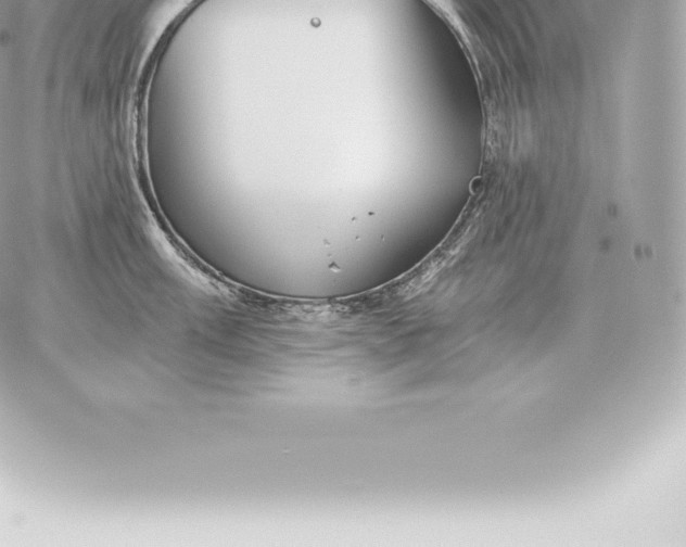 X0000060271003200511112042