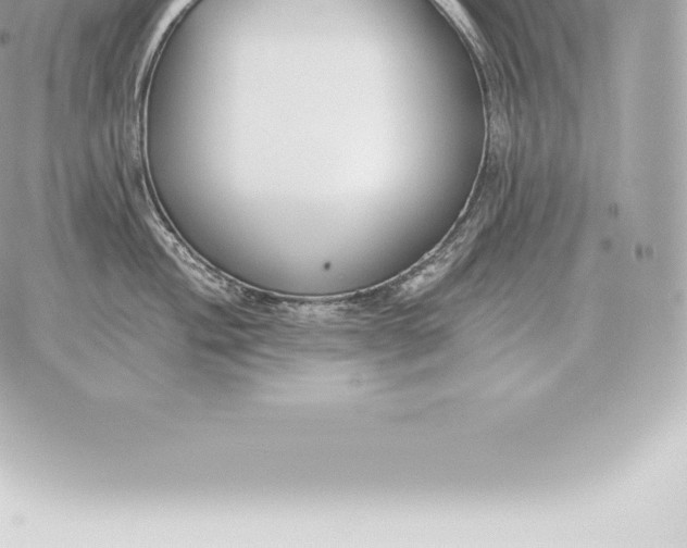 X0000060271004200511112042