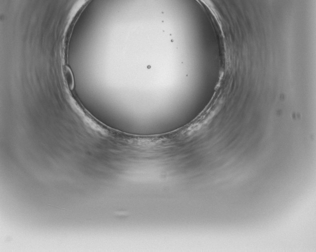 X0000060271005200511112042