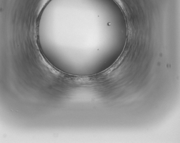 X0000060271006200511112042