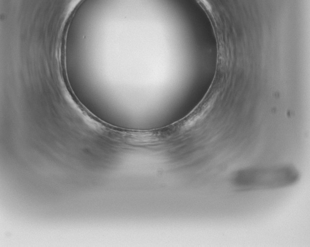 X0000060271007200511112042