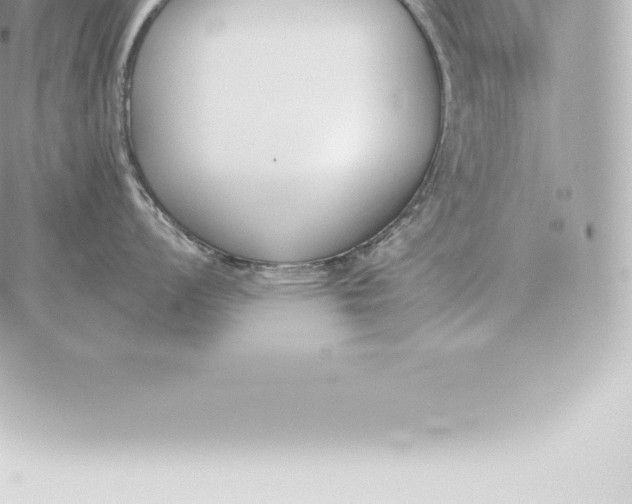 X0000060271008200511112042