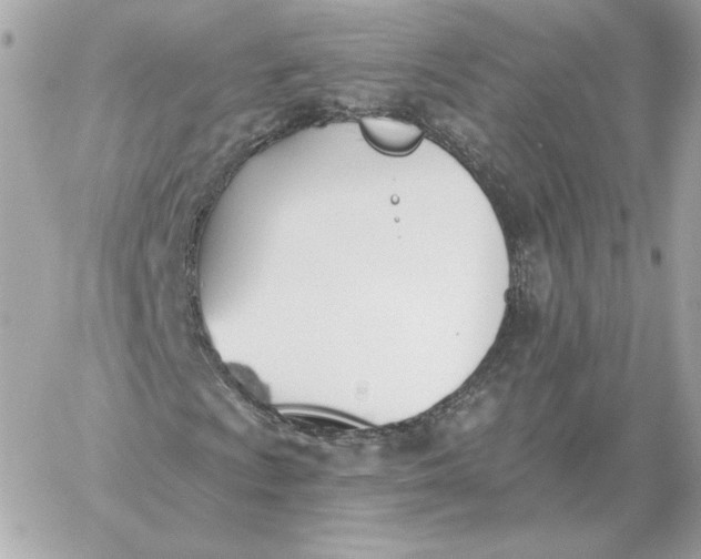 X0000060271009200511112041