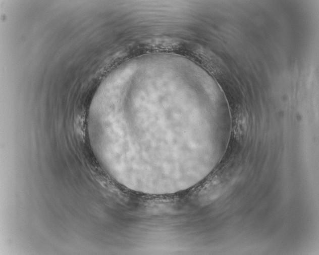 X0000060271010200511112041