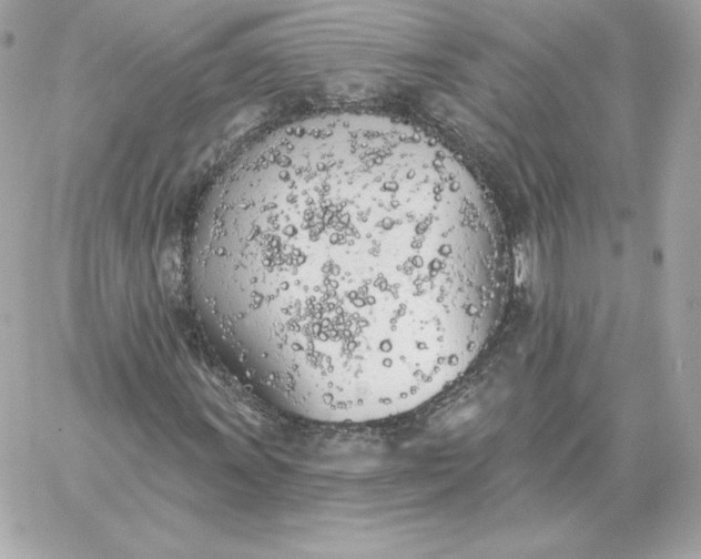 X0000060271011200511112041