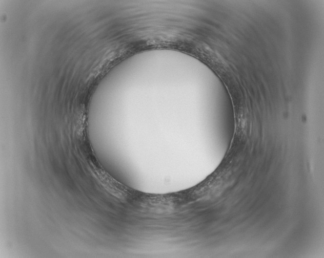 X0000060271012200511112041