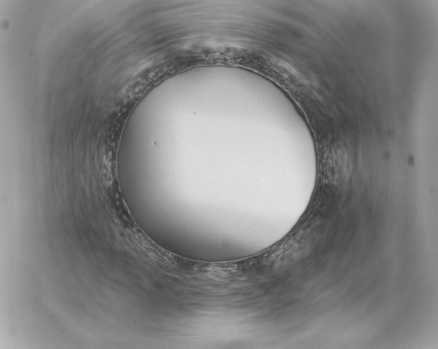 X0000060271013200511112041