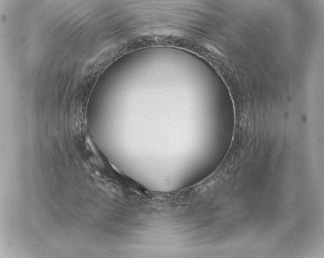 X0000060271014200511112041