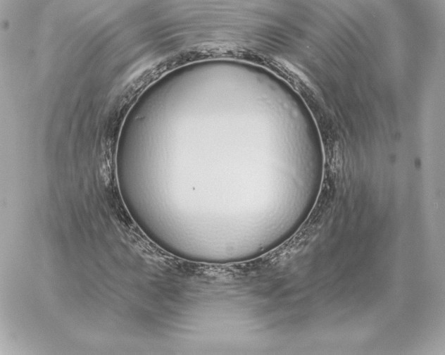 X0000060271015200511112041