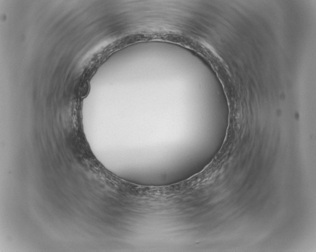 X0000060271016200511112041