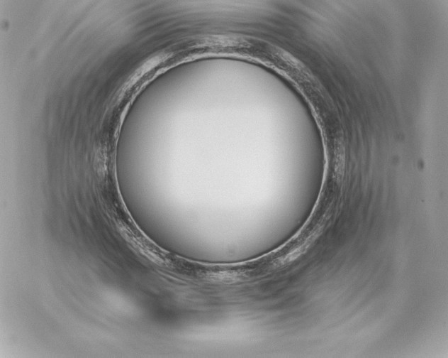 X0000060271017200511112041