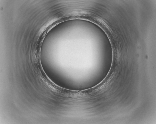 X0000060271018200511112041