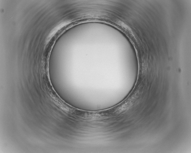 X0000060271019200511112041