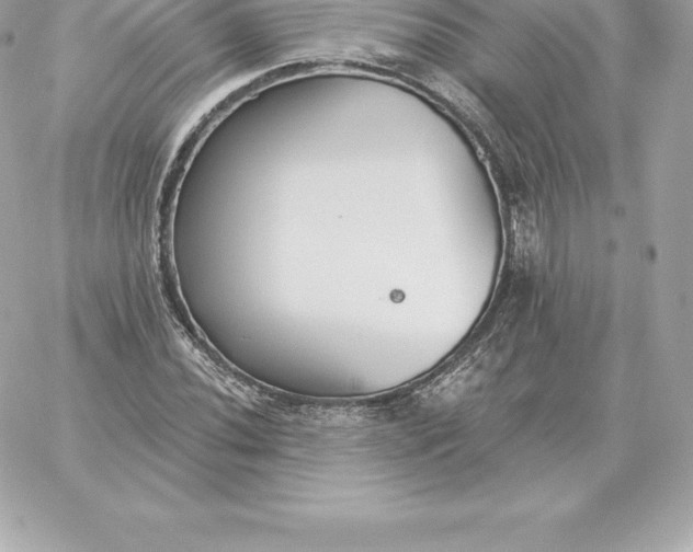 X0000060271020200511112041