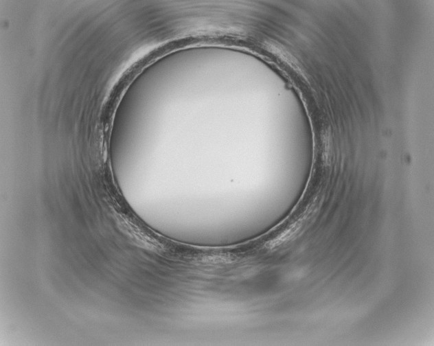 X0000060271021200511112041