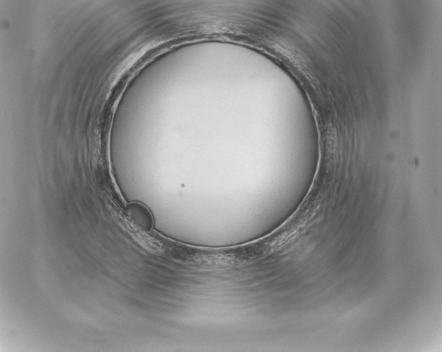 X0000060271023200511112041