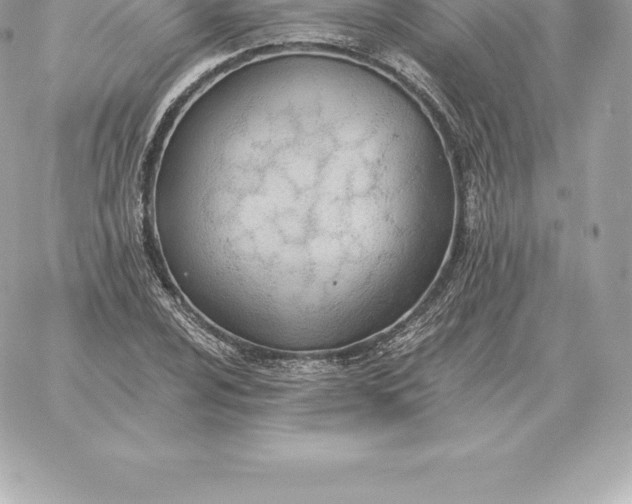 X0000060271024200511112041