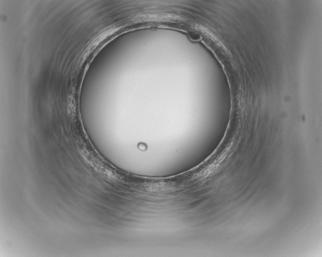 X0000060271025200511112041