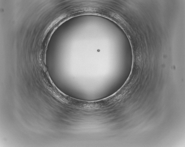 X0000060271026200511112041