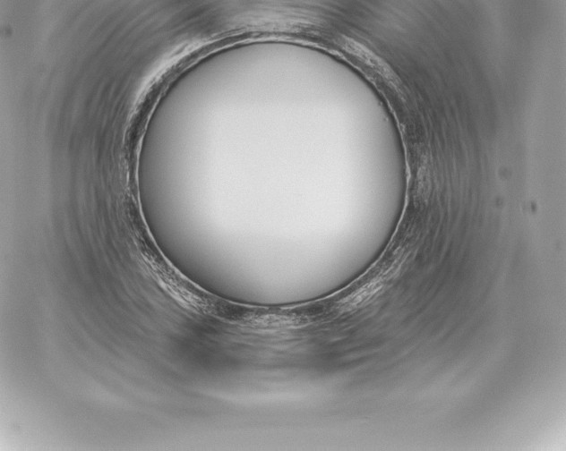 X0000060271027200511112042