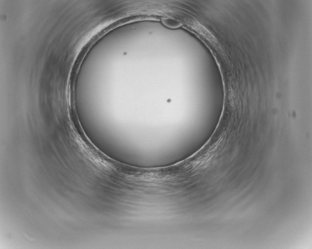 X0000060271028200511112042