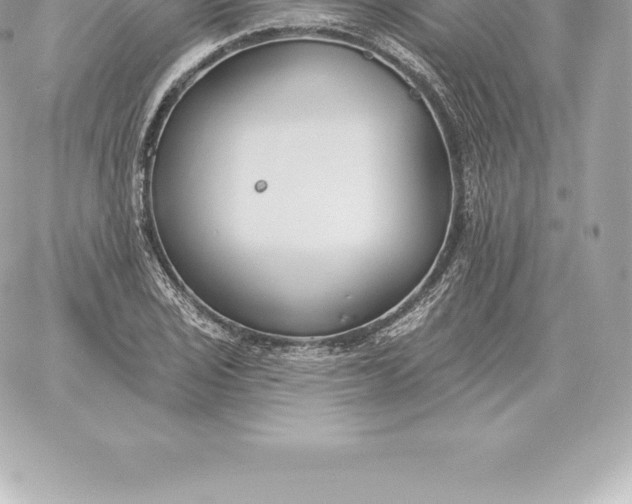 X0000060271029200511112042