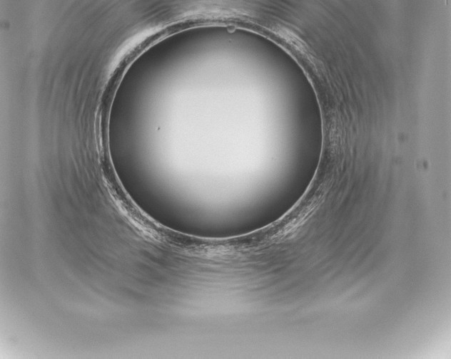 X0000060271030200511112042