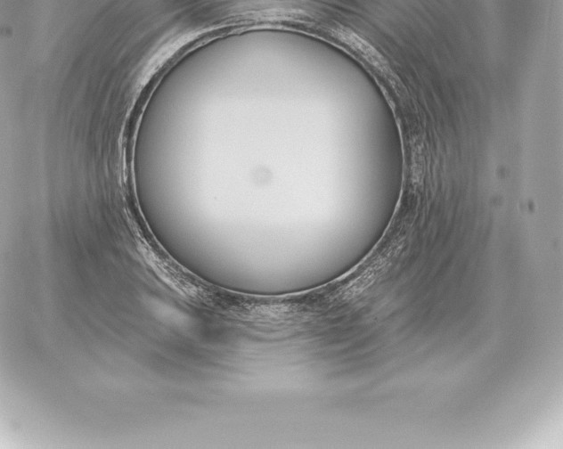 X0000060271031200511112042