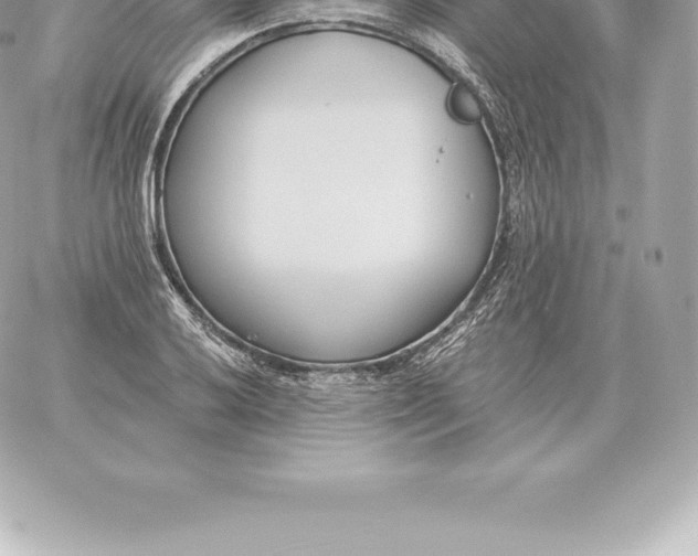 X0000060271032200511112042