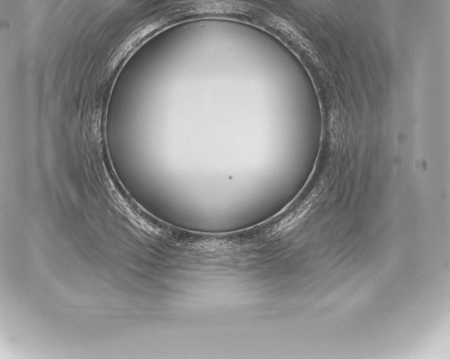 X0000060271033200511112042