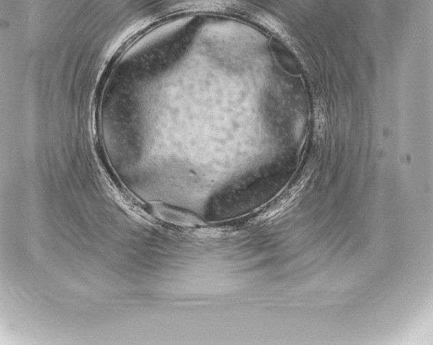 X0000060271034200511112042