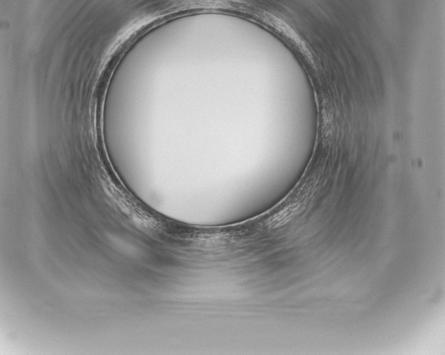 X0000060271035200511112042