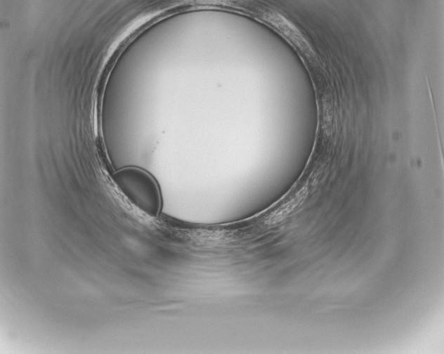 X0000060271036200511112042