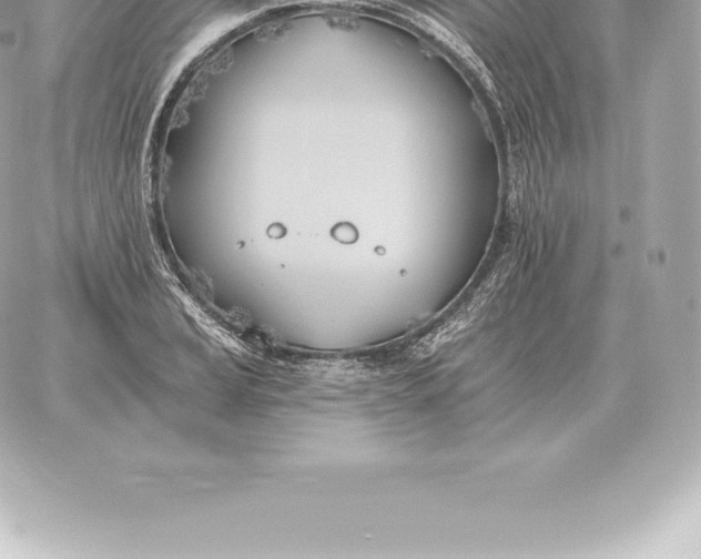 X0000060271037200511112042