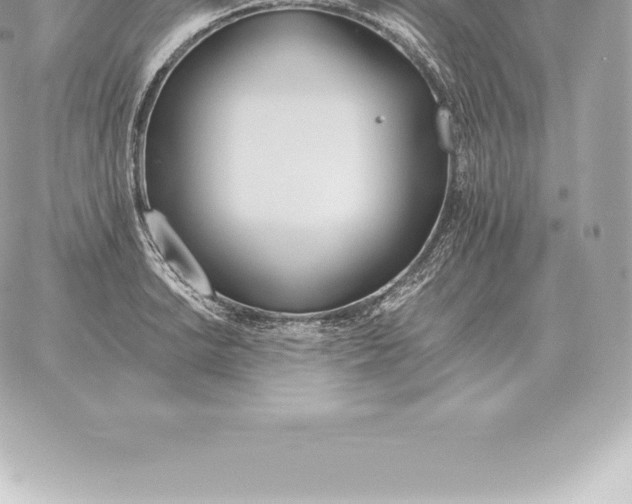 X0000060271038200511112042