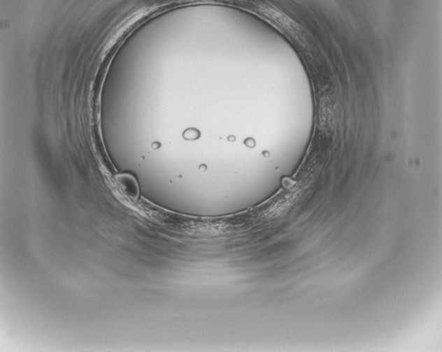 X0000060271039200511112042