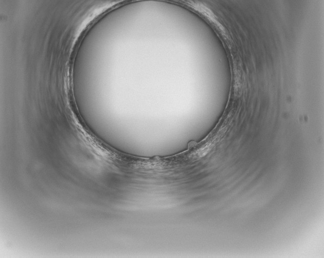 X0000060271040200511112042