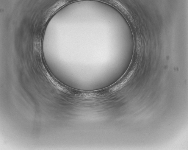 X0000060271041200511112042