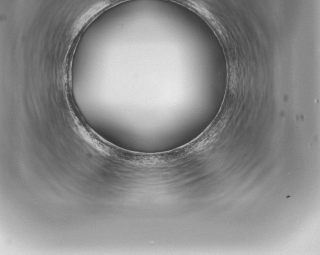 X0000060271042200511112042