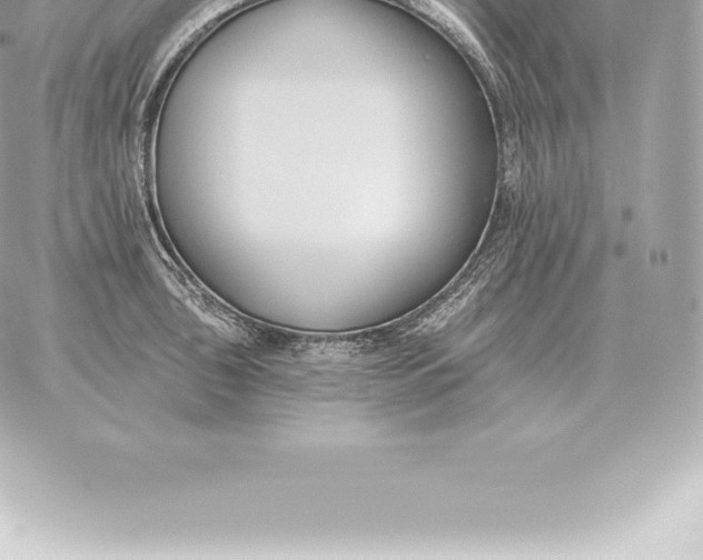 X0000060271043200511112042