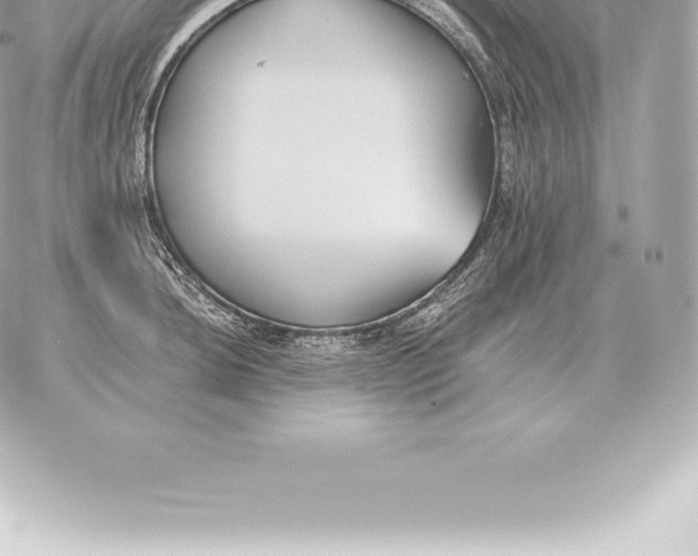 X0000060271044200511112042